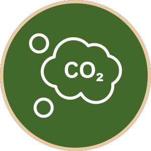 icon of carbon dioxide in a cloud bubble