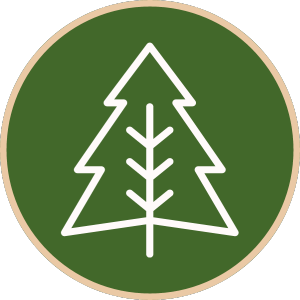 Icon of a fir tree